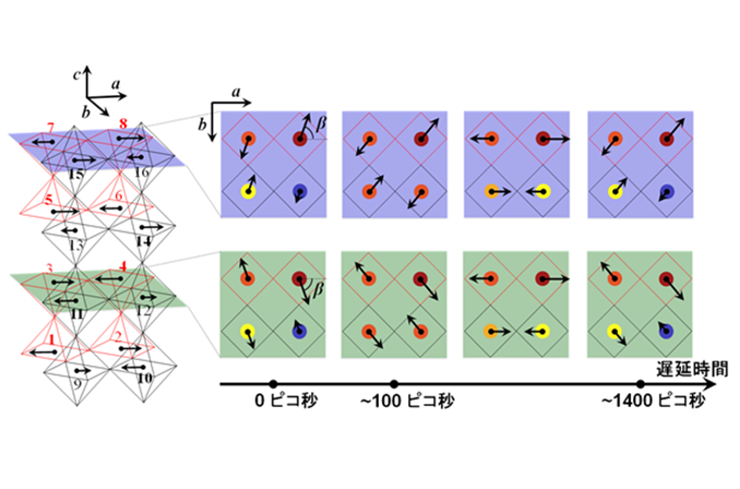 Ultrafast Ferromagnetism in Oxide Thin Films