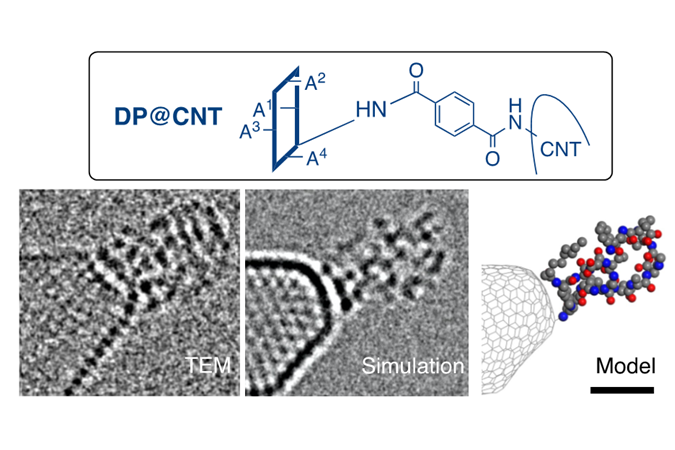 Elucidation of the multimeric structure responsible for the activity of drugs for the treatment of multidrug-resistant bacterial infections.