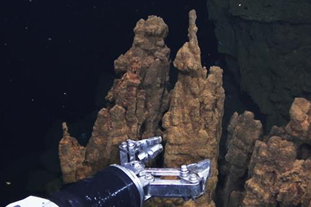Magnetic bacteria point the way
